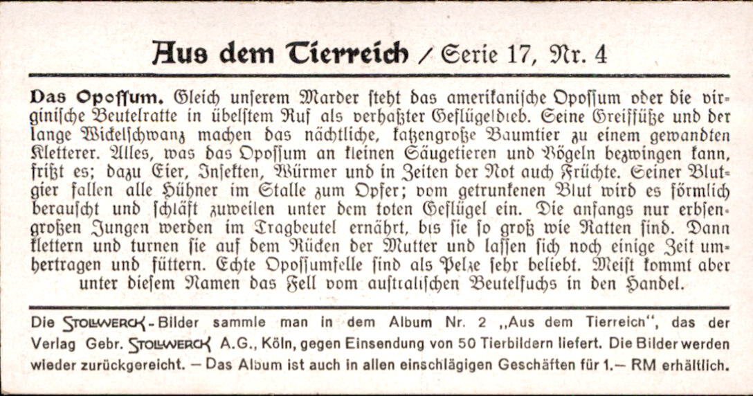 /Germany/Stollwerck/Animals/DE_Stollwerck_1932_Aus dem Tierreich (104).jpg